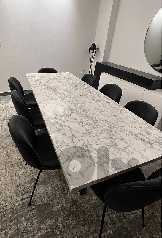 dining table+10 chairs