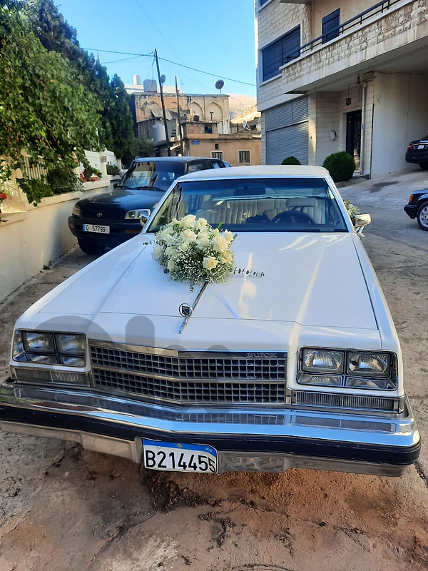 Buick Other 1978
