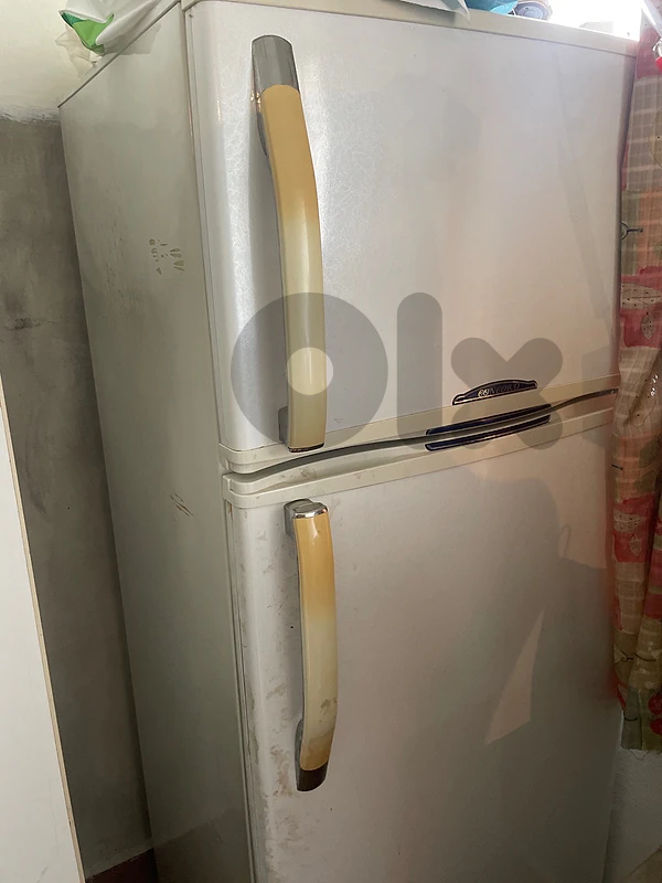 barrad concord w ma3 freezer