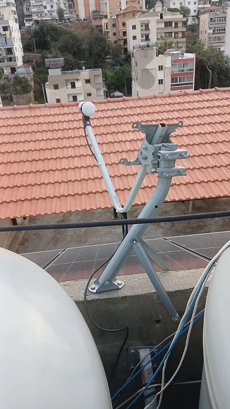 dish and stand