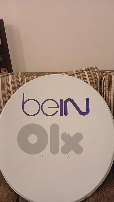 dish and stand