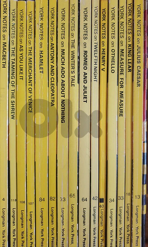 York Notes Shakespeare study guides (15 copies)