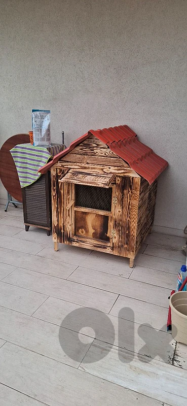 dog house