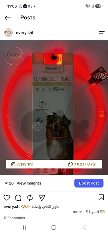 Zoofari LED Dog Collar - طوق مضيء للكلب USB-C - مستورد من المانيا