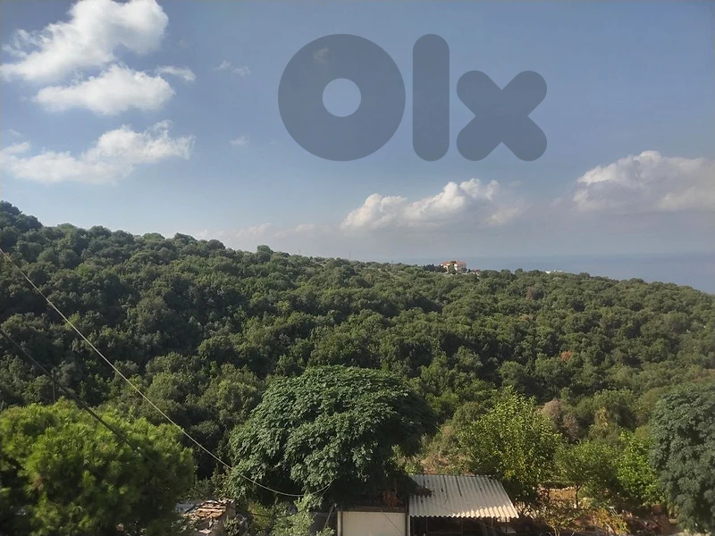 Apartment For Sale in Monsef