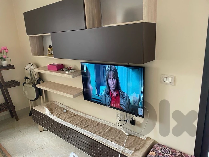 living room and TV unit