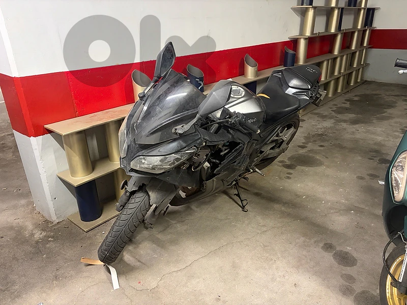 Kawasaki Ninja 300 SE 2015