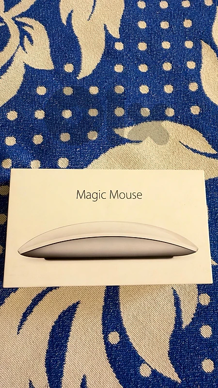 Magic Mouse 2