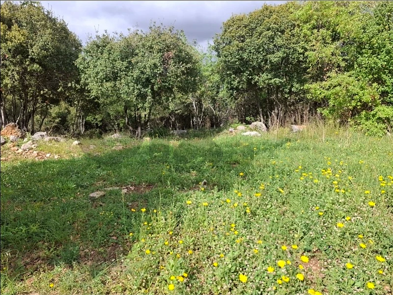 1156m2 Land for sale in Beit el chaar,Metn