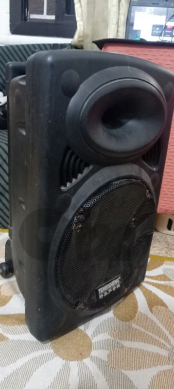 speaker temeisheng