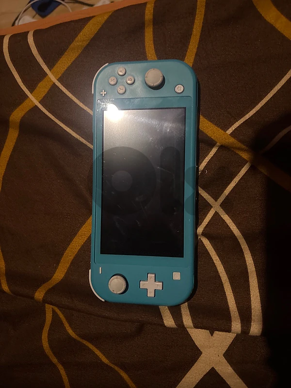 Nintendo switch light