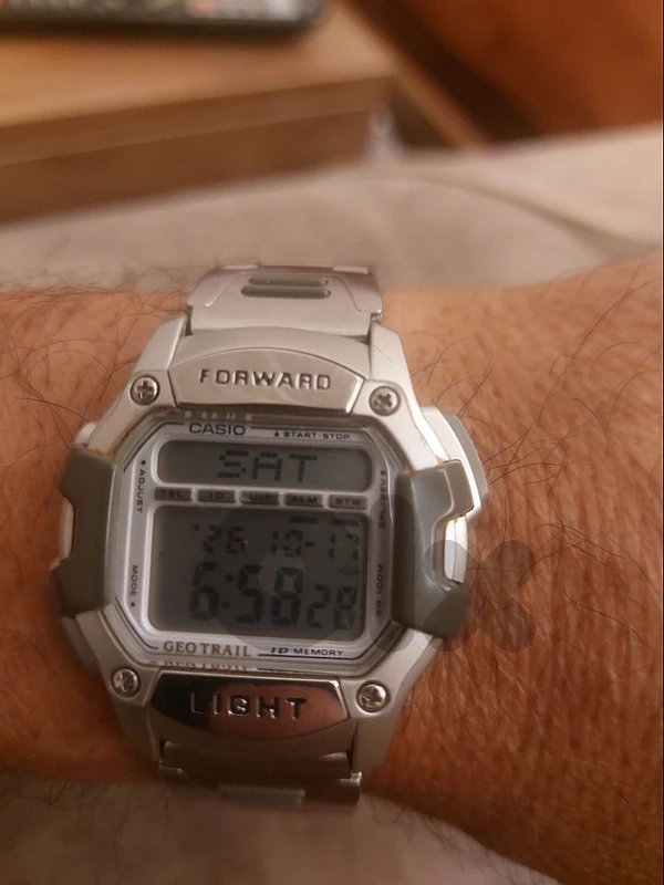 casio orjinal japan