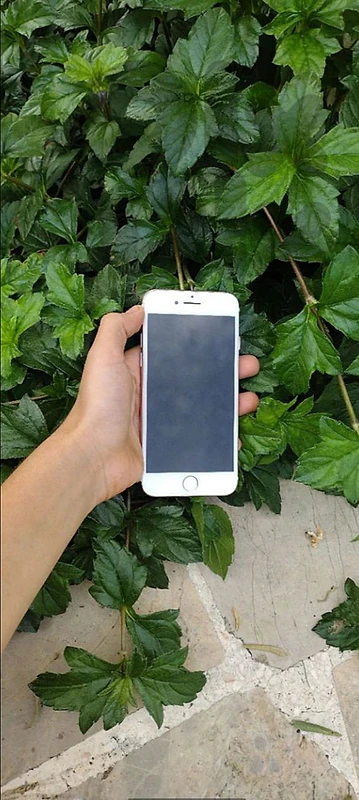 IPHONE 7