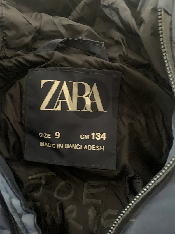 ZARA Coat