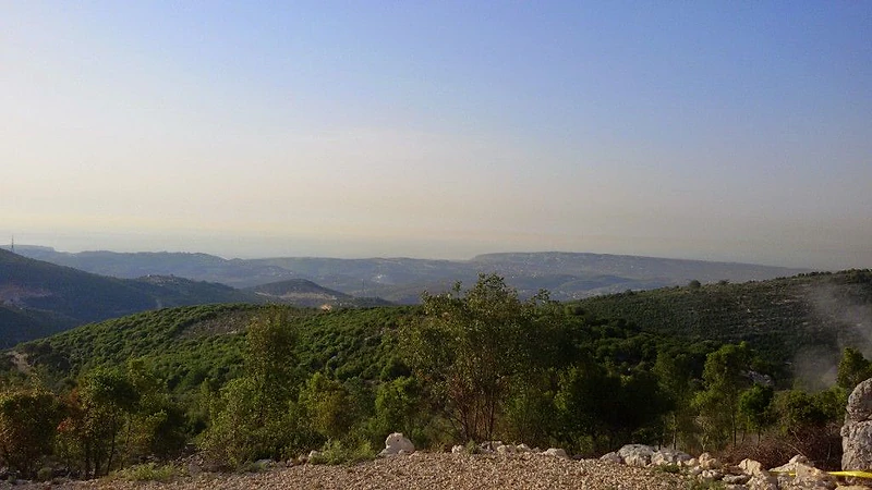 land for sale in Asia أرض للبيع في أسيا