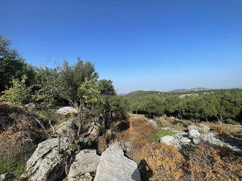 RWB224PK - Prime location Land for sale in mechmech
