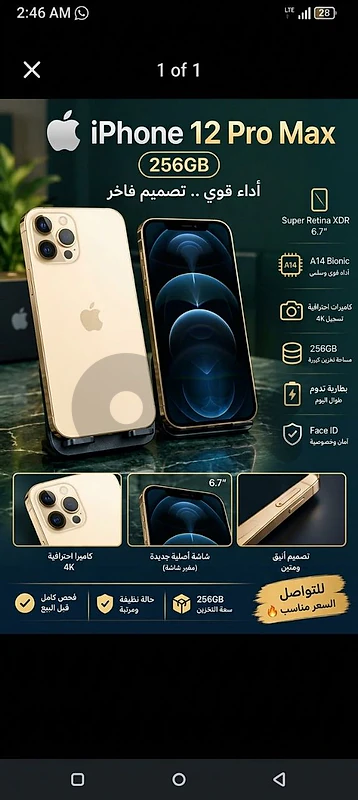 Apple 12 Pro Max
