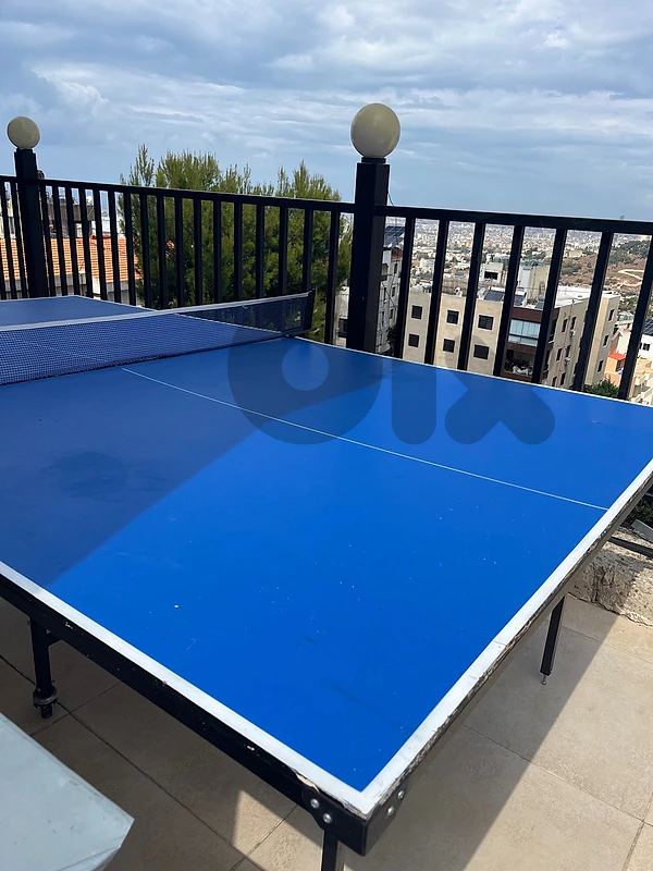 used pingpong table