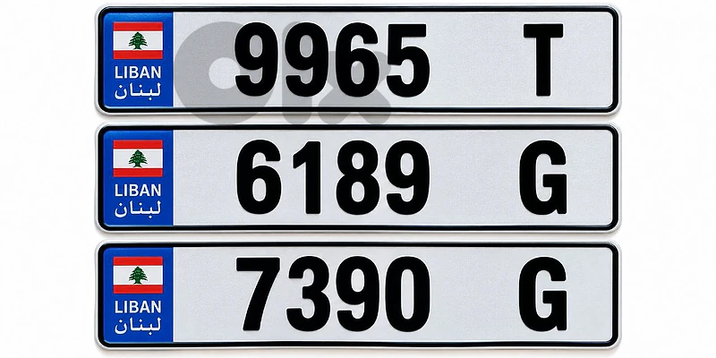 special plate 4 digits for sale