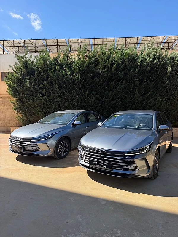 BYD Other 2025