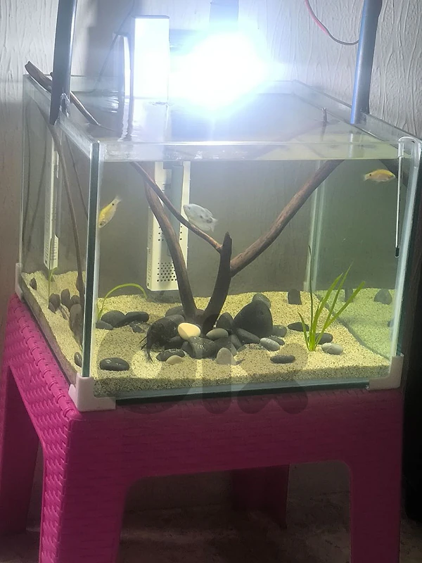 aquarium