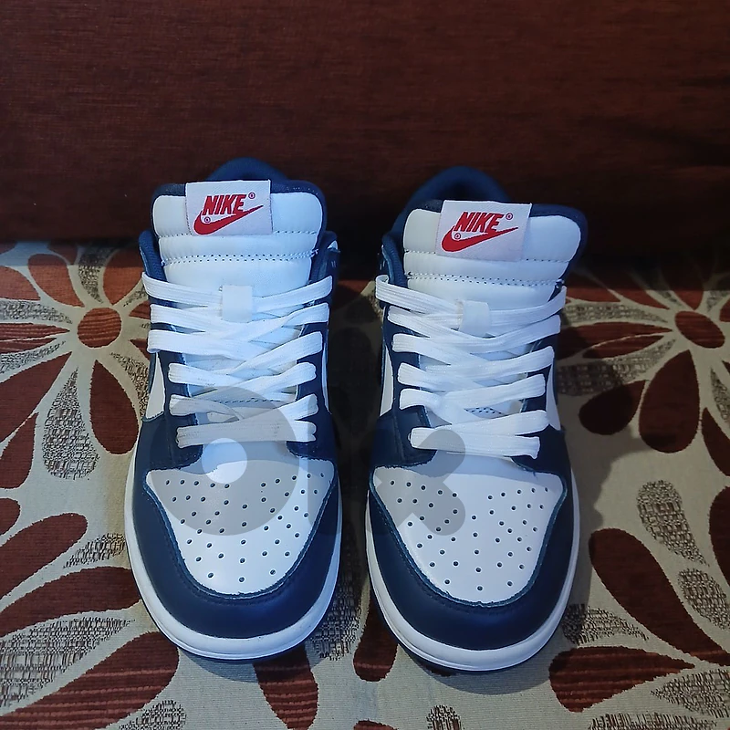 Nike dunks valerian blue retro
