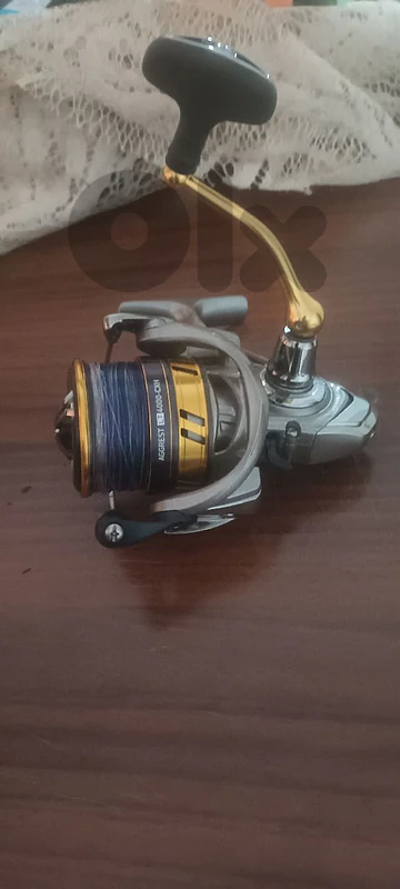 Daiwa Combo