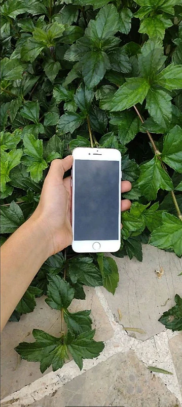 IPHONE 7