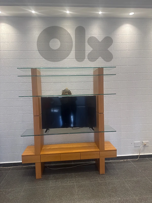TV UNIT
