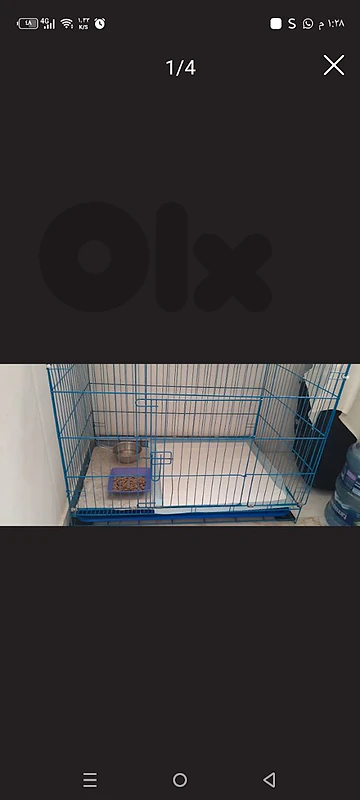 سن الفيل