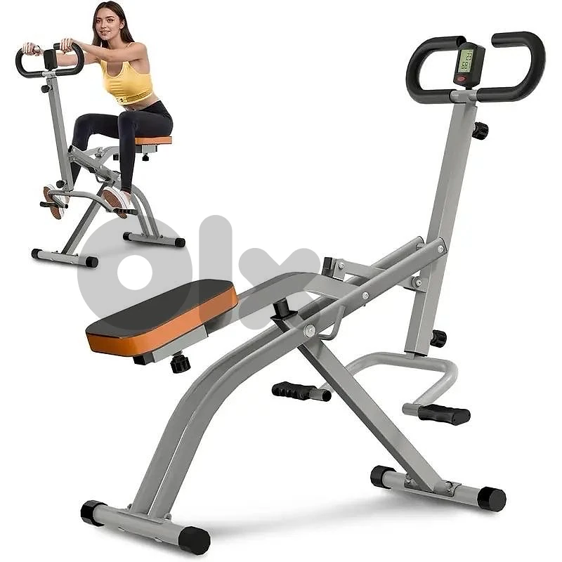 Sunny Health & Fitness Row-N-Ride Trainer