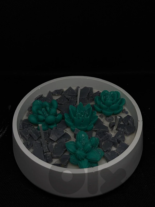 big  jar cactus candles
