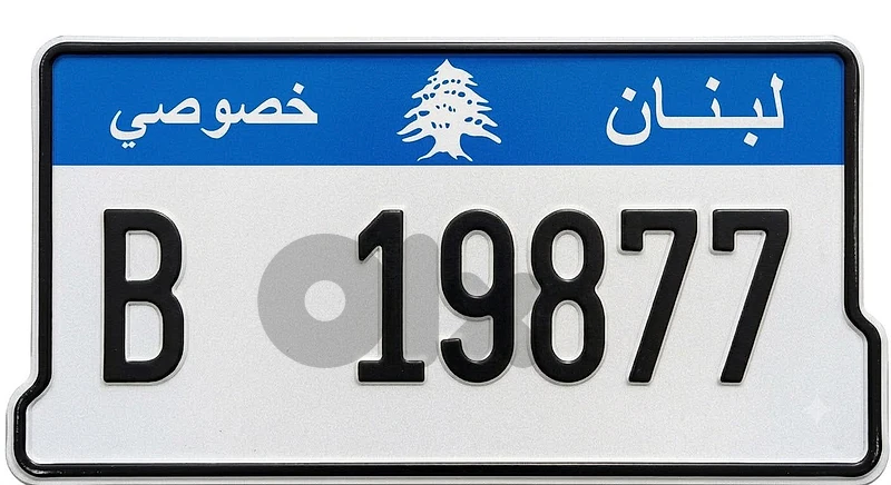 19877 B