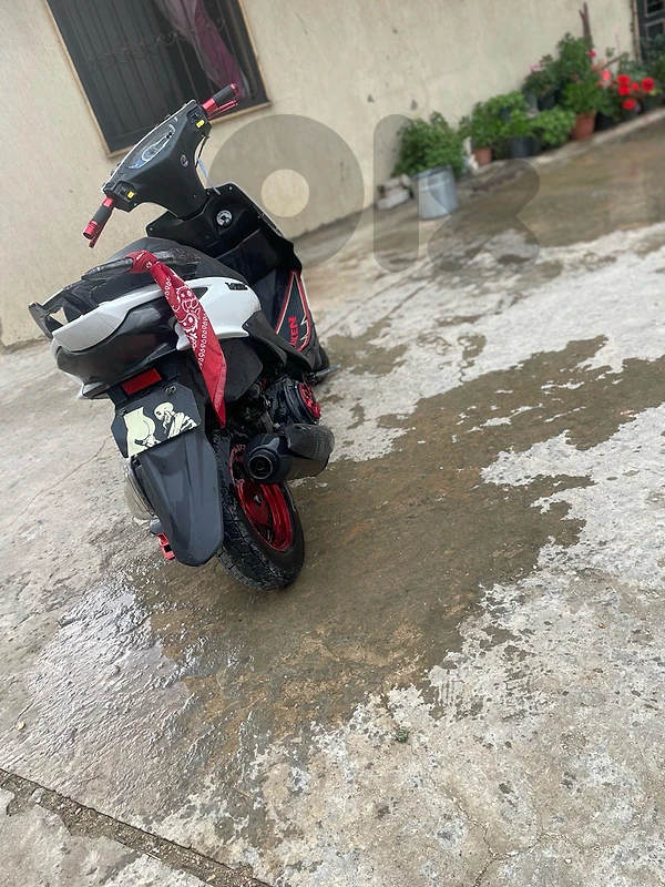 v 150 tayra