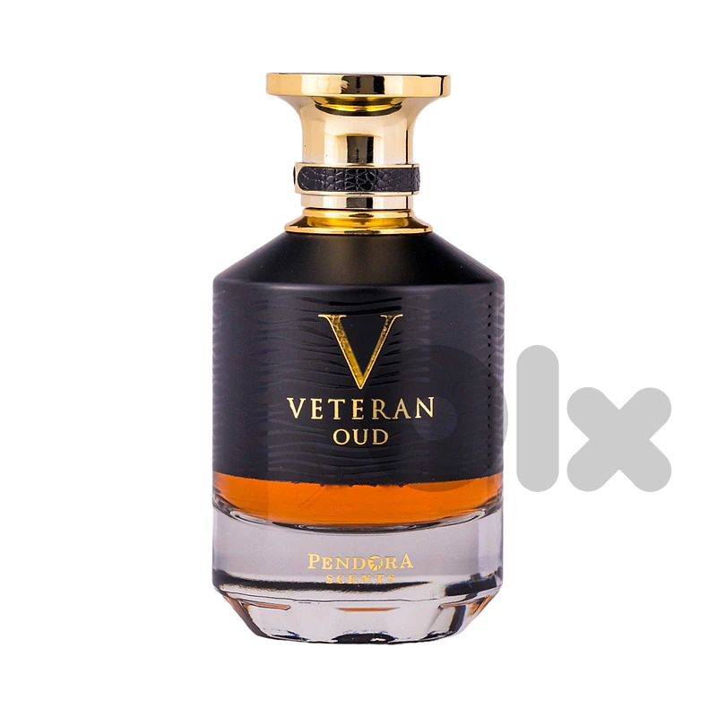 Pendora Scents Veteran Oud Eau de Parfum 100 mL – For Men