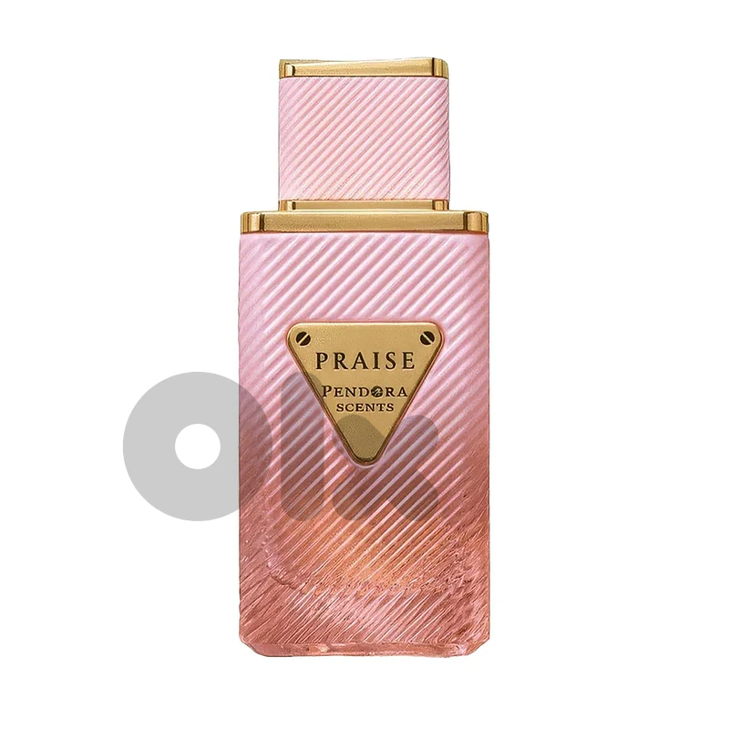 Pendora Scents Praise Eau de Parfum 100 mL – Unisex