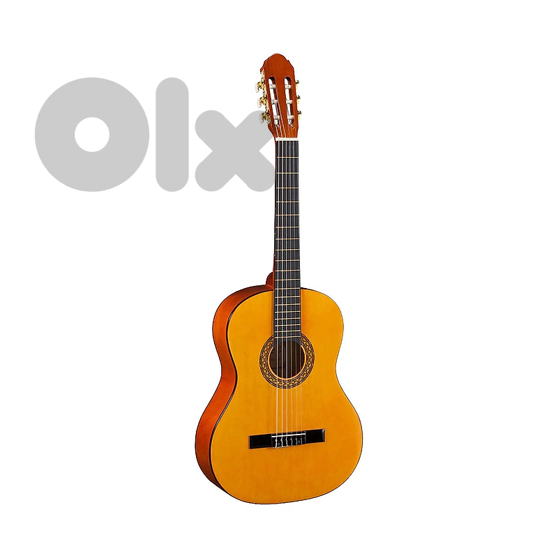 Signature CG20 1/4 Classic Guitar