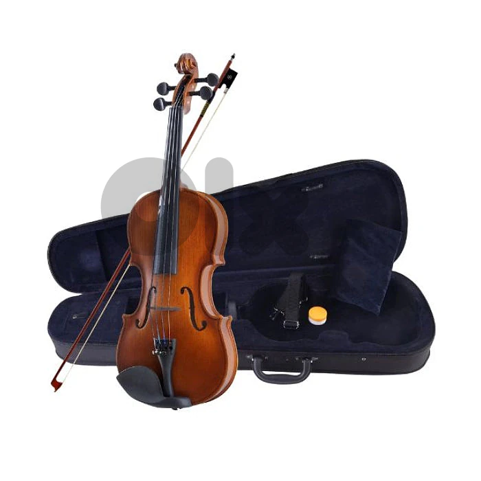 Aileen Violin with Case and Bow