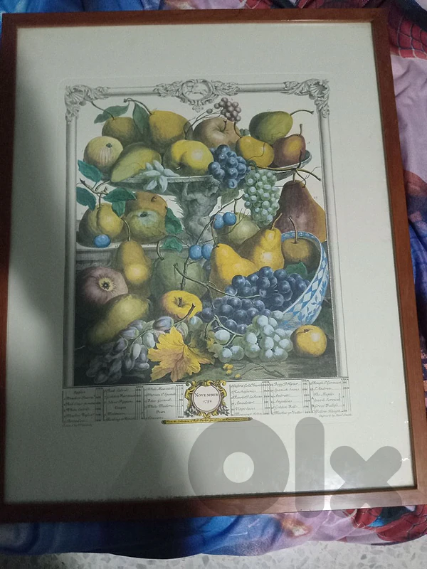 fruits picture