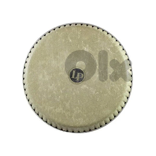 LP 11.75" FiberSkyn Conga Head