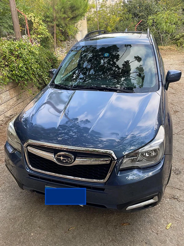 Subaru Forester 2017 Subaru Forester 2017