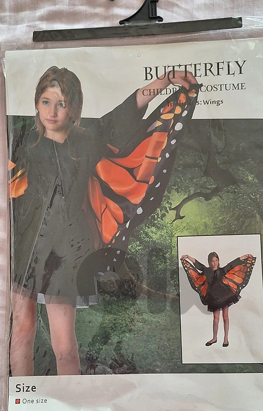 Butterfly wings 🦋 Halloween costume Butterfly wings 🦋 Halloween costume
