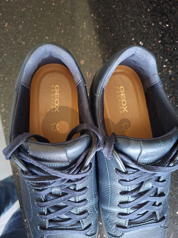 Geox shoes(imported from france) size 43, navy blue