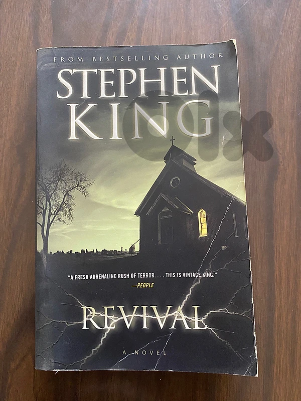Novel