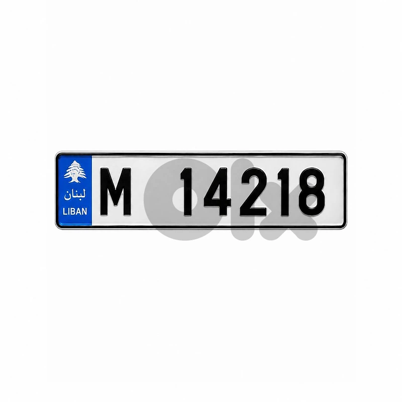 SPECIAL PRICE | 5 DIGITS