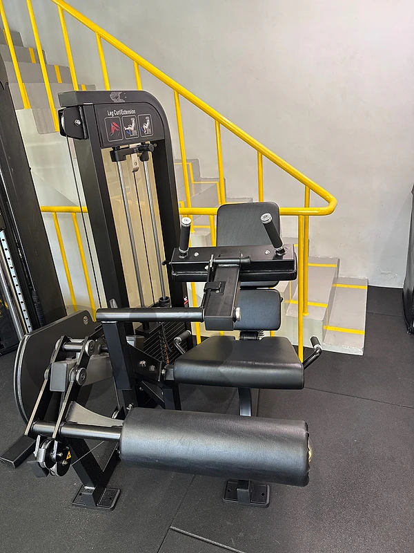 Leg Extension/ Curls