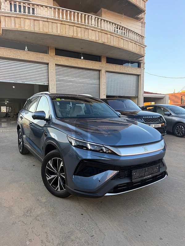 BYD Other 2025