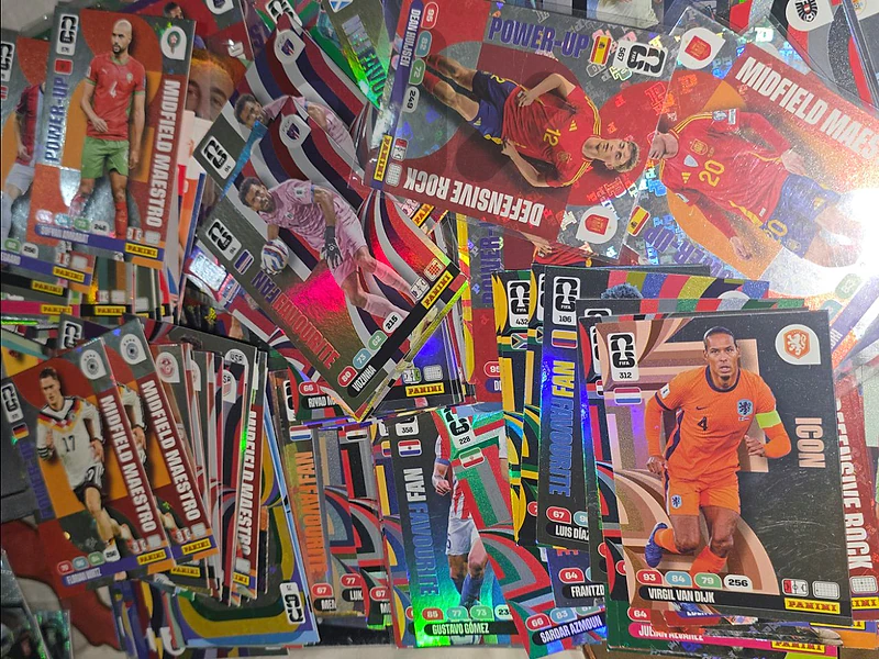 PANINI Fifa world cup cards