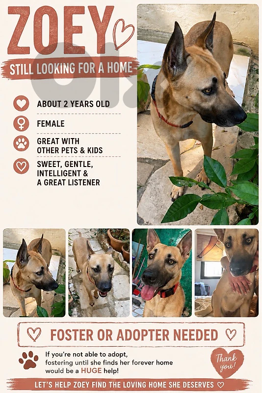 For Adoption