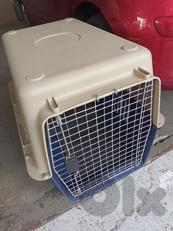 Dog Crate for Sale